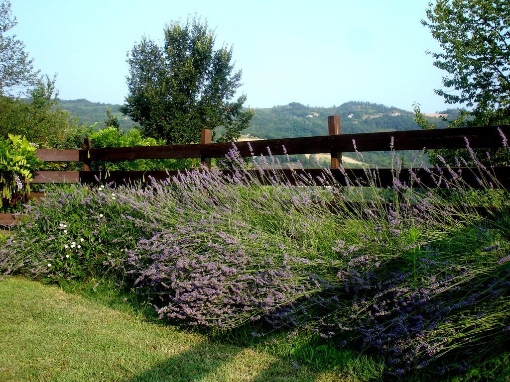 Cascina Ciosse B&B Grognardo Habitación foto