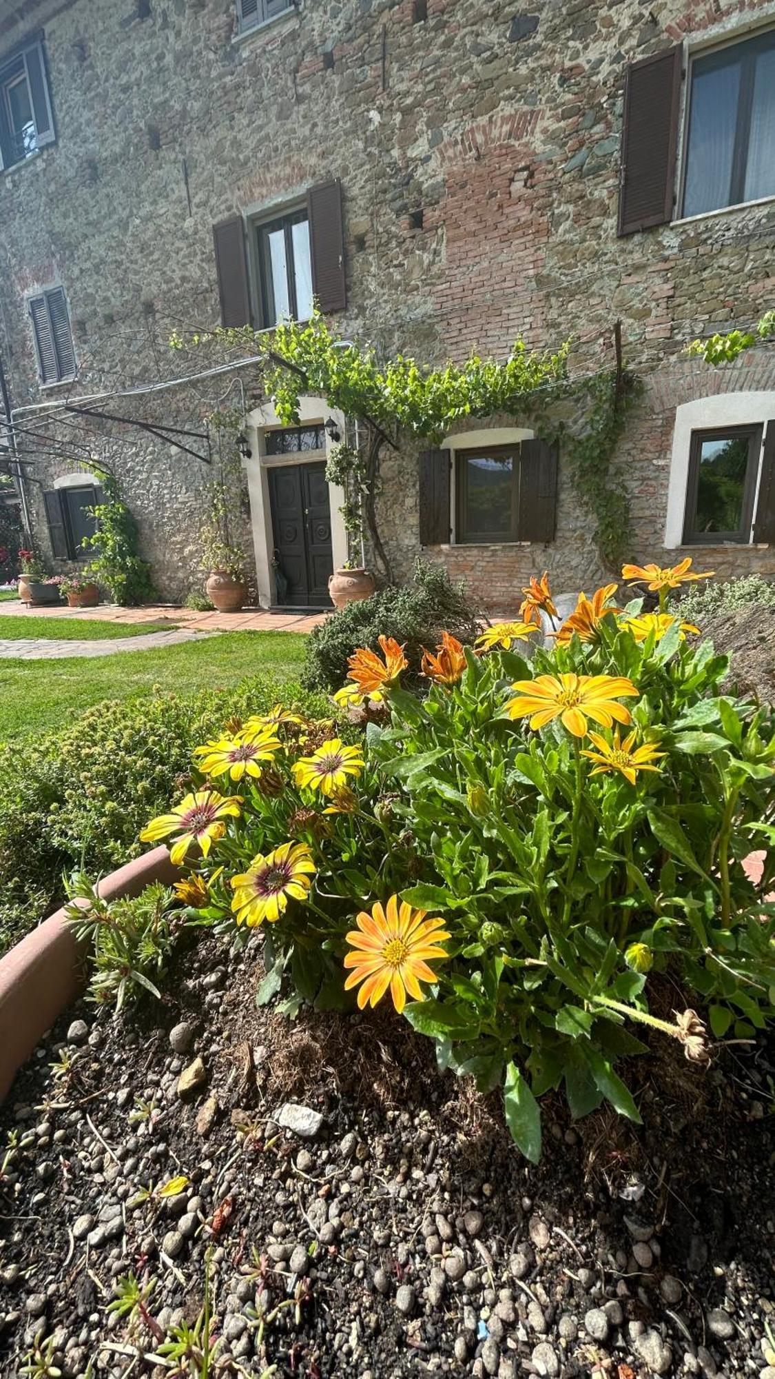 Cascina Ciosse B&B Grognardo Exterior foto